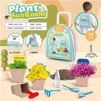 Set series - OBL10002755