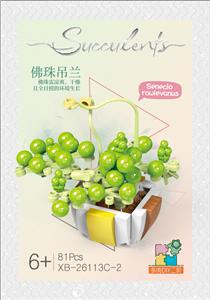 B多肉-佛珠  81PCS - OBL10016414