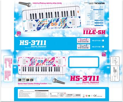 electronic organ - OBL10018556