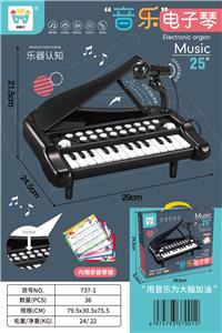 electronic organ - OBL10026351