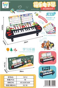 electronic organ - OBL10026352