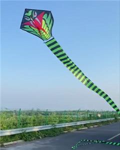 Windmill / kite - OBL10059239