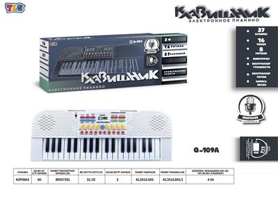 electronic organ - OBL10070453