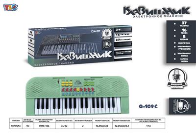 electronic organ - OBL10070455