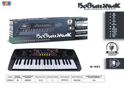 electronic organ - OBL10070456