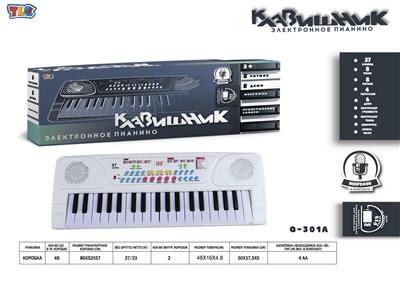 electronic organ - OBL10070457