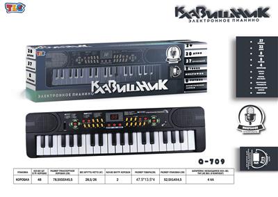 electronic organ - OBL10070458