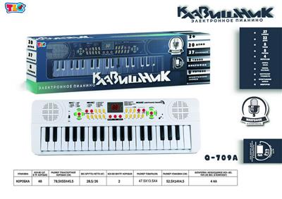 electronic organ - OBL10070459