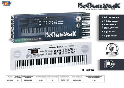 electronic organ - OBL10070463