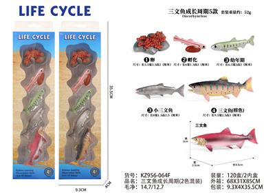 三文鱼成长周期 - OBL10072343