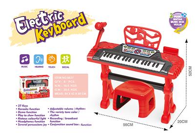 electronic organ - OBL10075743