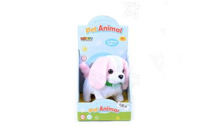 Electric animal - OBL10078062