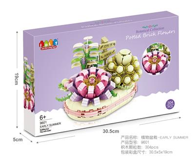 植物盆栽-EARLY SUMMER 304PCS - OBL10080719