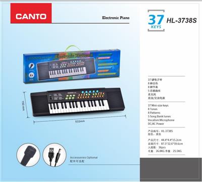 electronic organ - OBL10087964