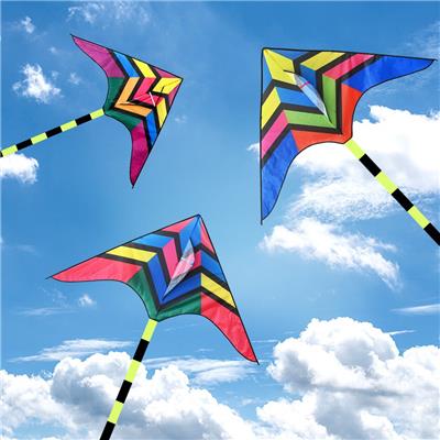 Windmill / kite - OBL10121451