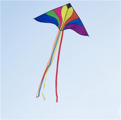 Windmill / kite - OBL10121460