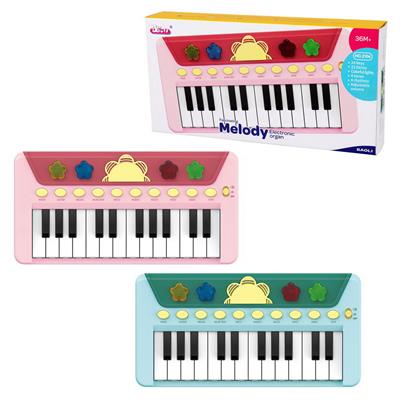 electronic organ - OBL10139246