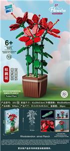 杜鹃花 - OBL10145044