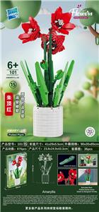 朱顶红 - OBL10145045
