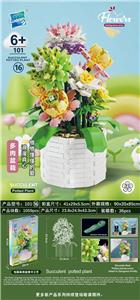 多肉盆栽 - OBL10145046