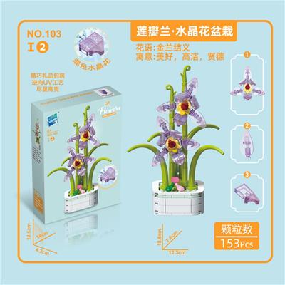 莲瓣兰.水晶花盆栽 - OBL10145048