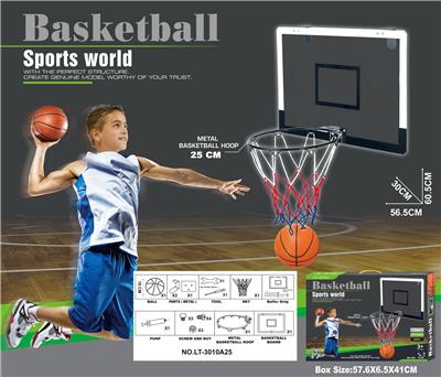 Basketball board / basketball - OBL10147558