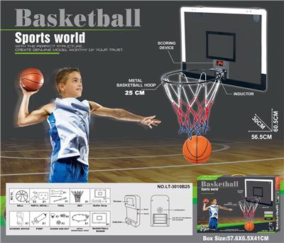 Basketball board / basketball - OBL10147572