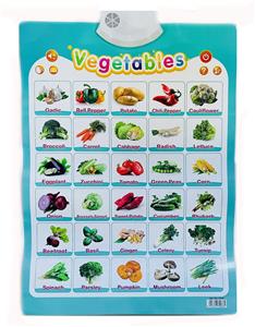 蔬菜英文挂图 - OBL10168346