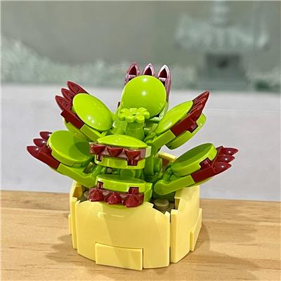 熊童子 - OBL10170466