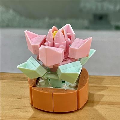 紫珍珠 - OBL10170480