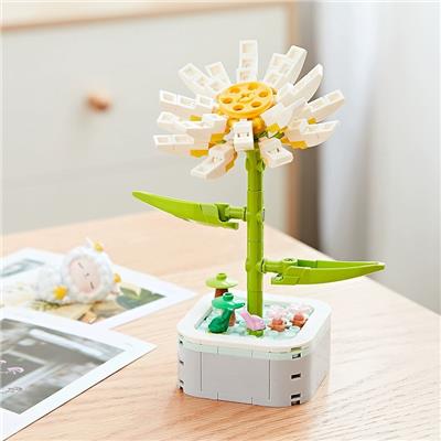 雏菊 - OBL10170504