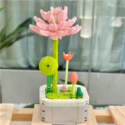 荷花 - OBL10170509