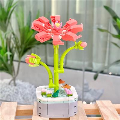 格桑花 - OBL10170511