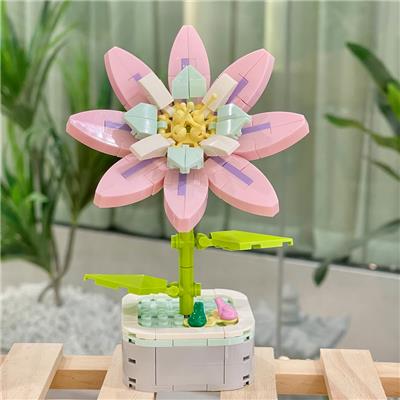 铁线莲 - OBL10170514