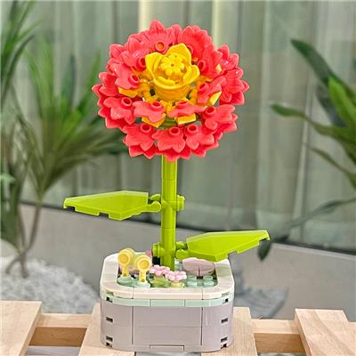 紫菀 - OBL10170516