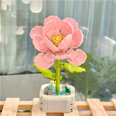 芙蓉花 - OBL10170520