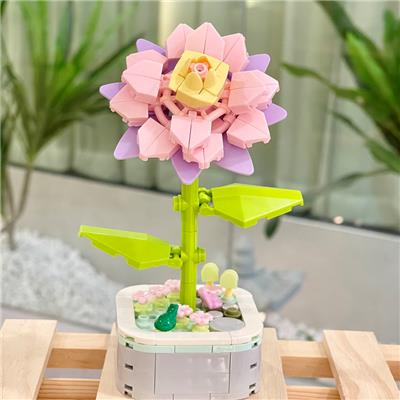 昙花 - OBL10170524