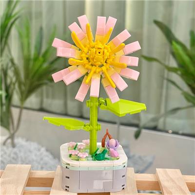 金丝菊 - OBL10170526