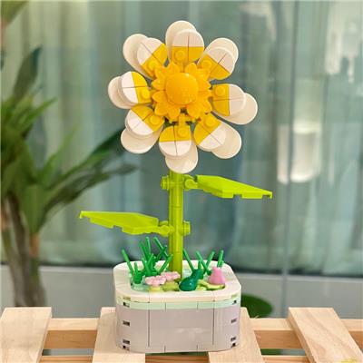 太阳花 - OBL10170527