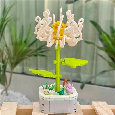 菊花 - OBL10170533