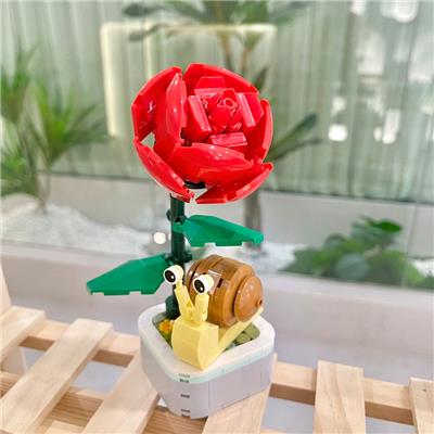 蜗牛盆栽 - OBL10170536