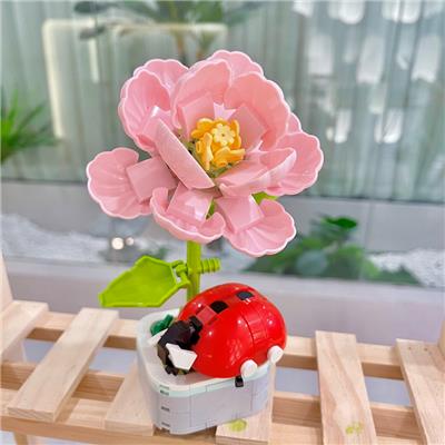 瓢虫盆栽 - OBL10170541