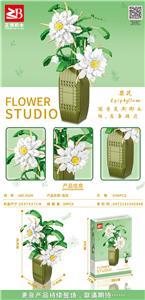 昙花 - OBL10170789
