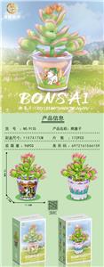 花坊系列-熊童子 - OBL10170811