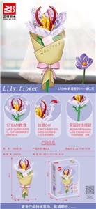 番红花 - OBL10170813