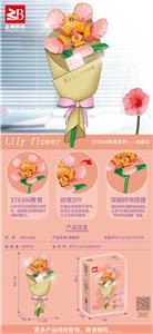 扶桑花 - OBL10170814