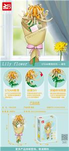 菊花 - OBL10170817