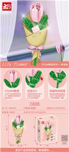 郁金香 - OBL10170826