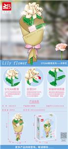 月季花 - OBL10170827