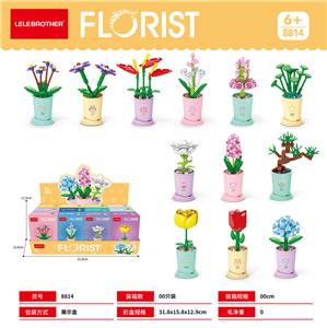 十二生肖幸运花 - OBL10186027